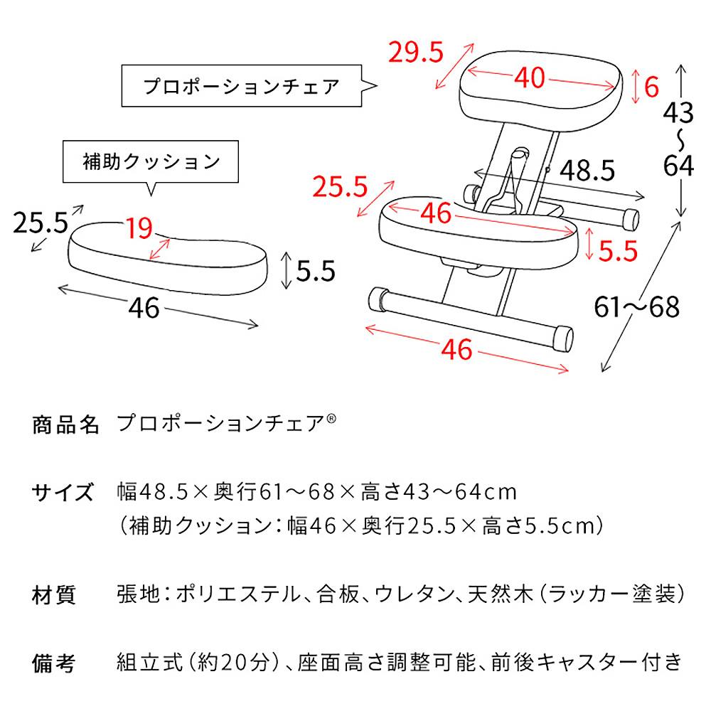 Proportion Chair CH-N889CK - Natural Navy