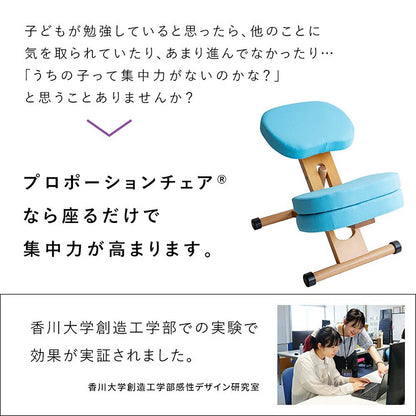 Proportion Chair CH-N889CK - Natural Navy