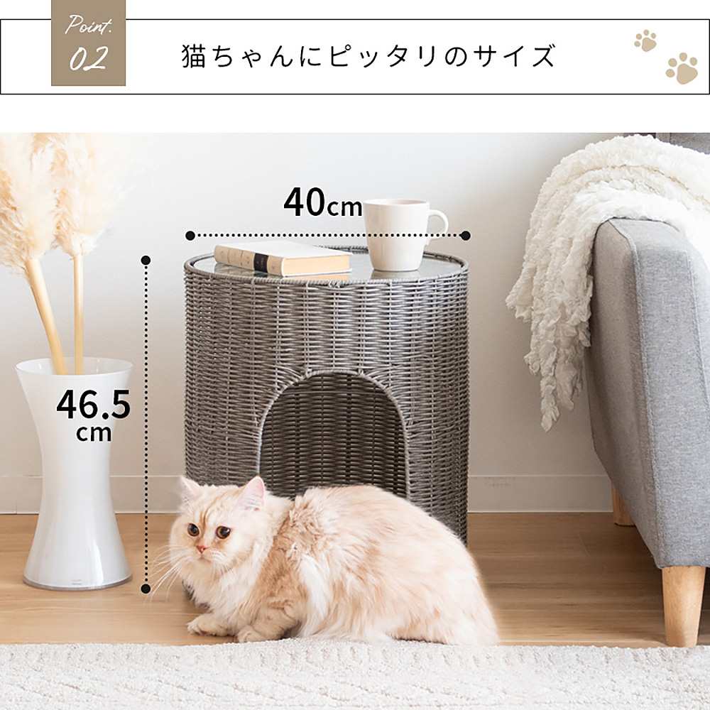 Cat Chigura Pienet CGR-400 DBR