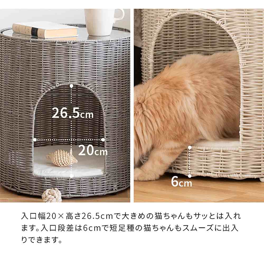 Cat Chigura Pienet CGR-400 DBR