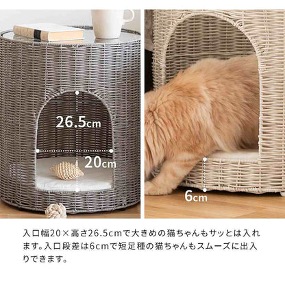Cat Chigura Pienet CGR-400 DBR