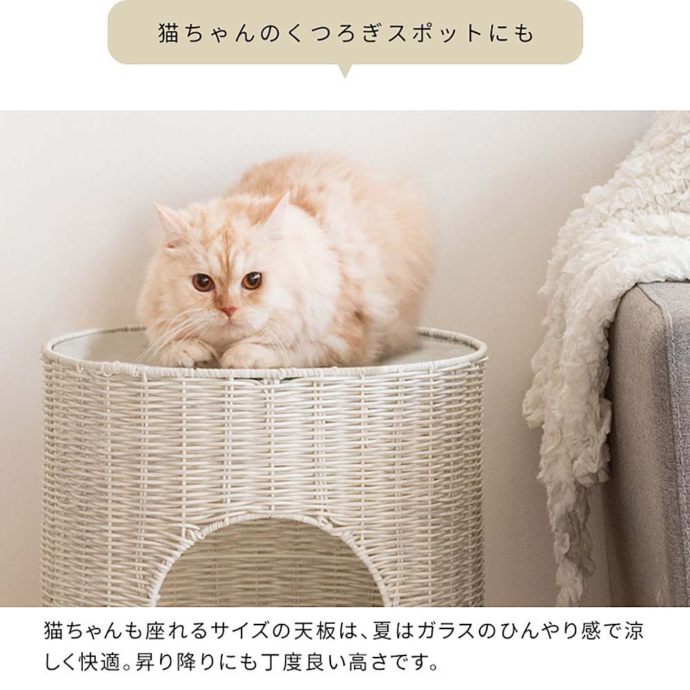 Cat Chigura Pienet CGR-400 DBR