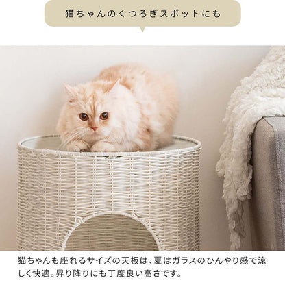 Cat Chigura Pienet CGR-400 DBR