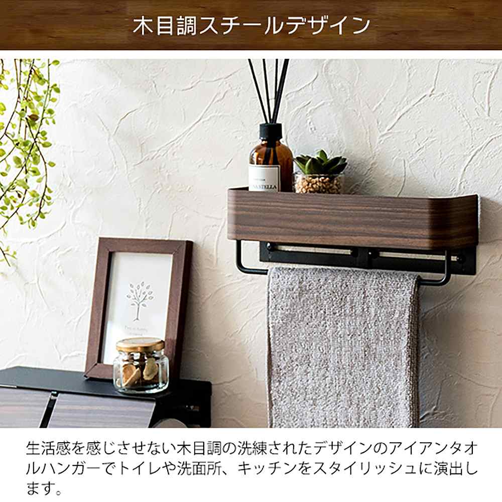 Towel Hanger TEER HG-250M BR
