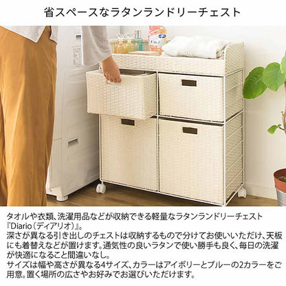 Diario Laundry Chest RB-358 IV