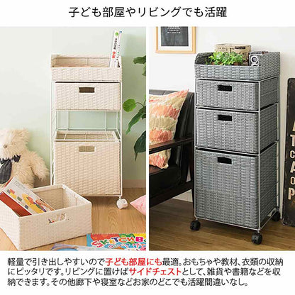 Diario Laundry Chest RB-358 IV