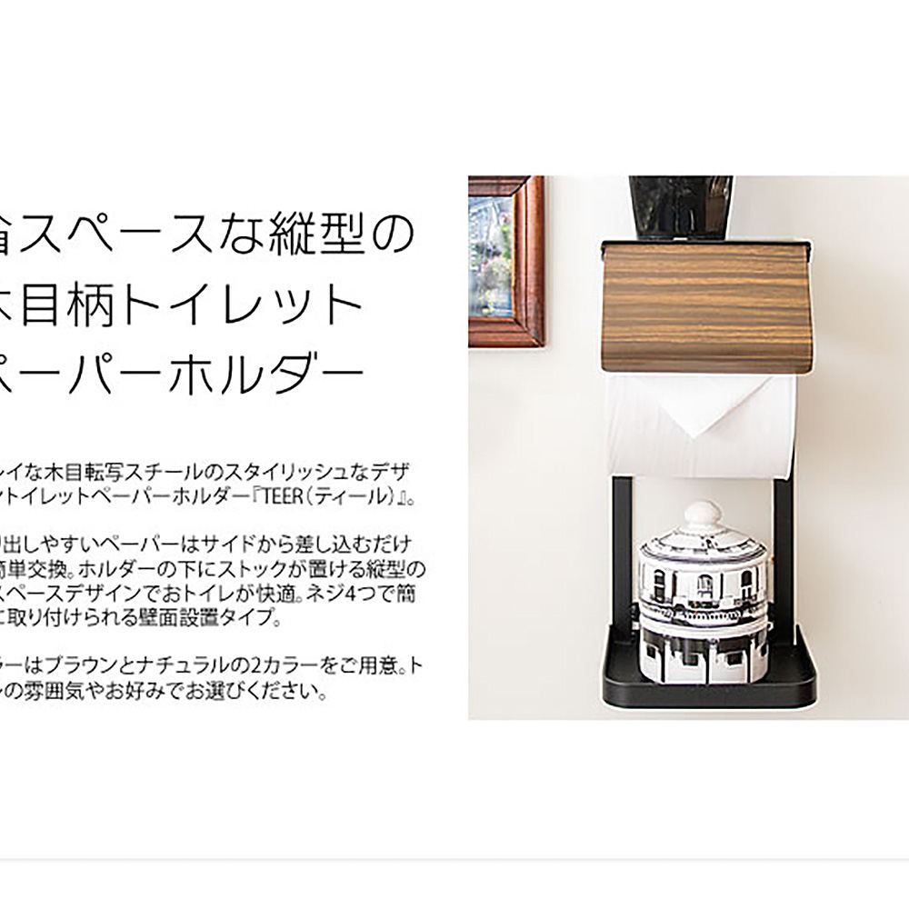Toilet Paper Holder TEER TP-950M NT