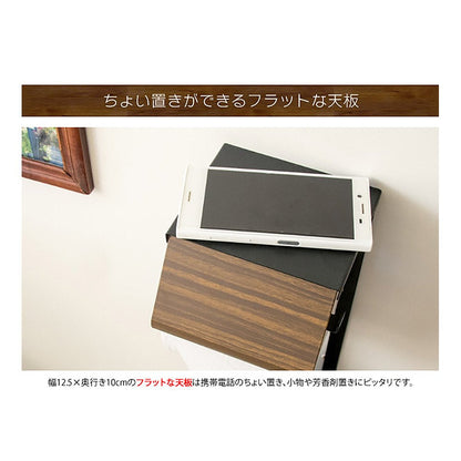 Toilet Paper Holder TEER TP-950M NT