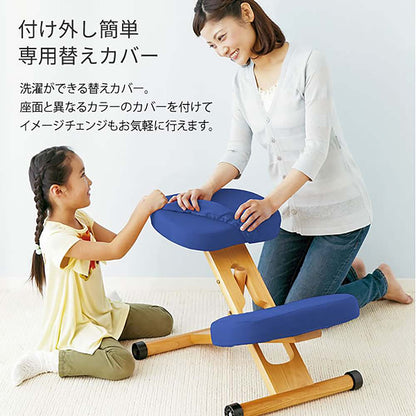 Replacement Cover for Proportion Chair CV-8W RD