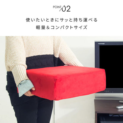 Amaretto Living Cushion CN-60R IV