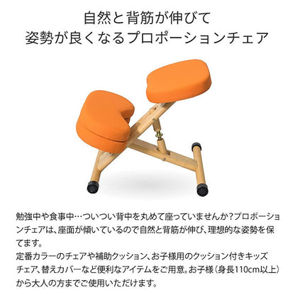 Proportion Chair CH-DBR88W BK