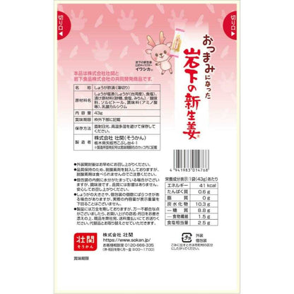 Sokkan Rock-Shaped New Ginger Snack 43g