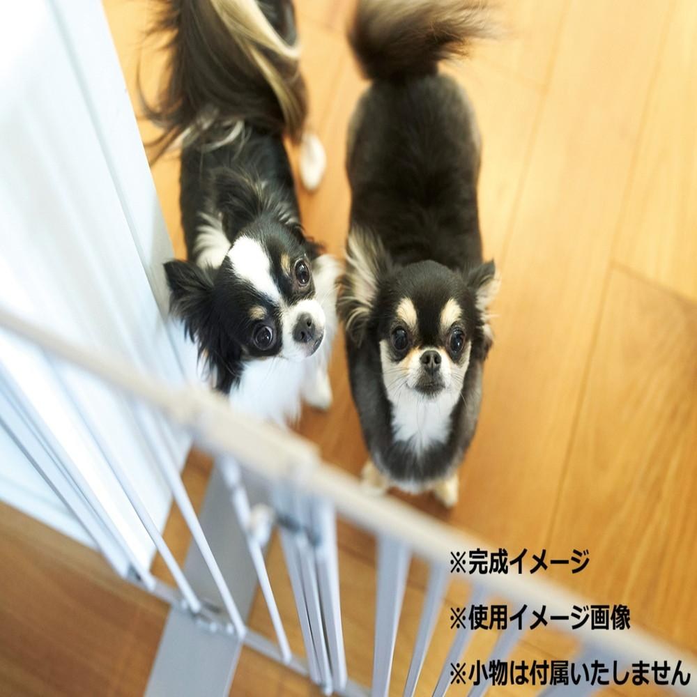Pet Gate Stripe Door Type Milk S23-0651