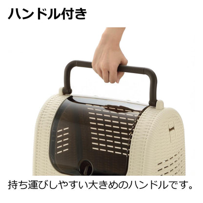 Rattan Carry Ivory