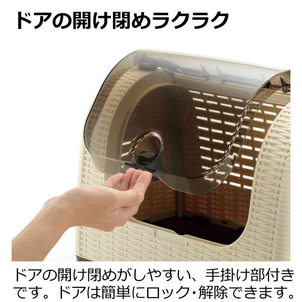 Rattan Carry Ivory