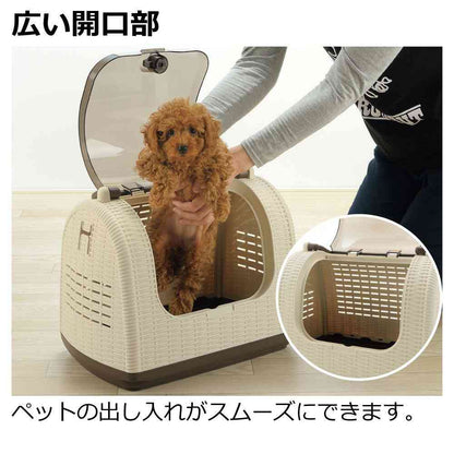 Rattan Carry Ivory