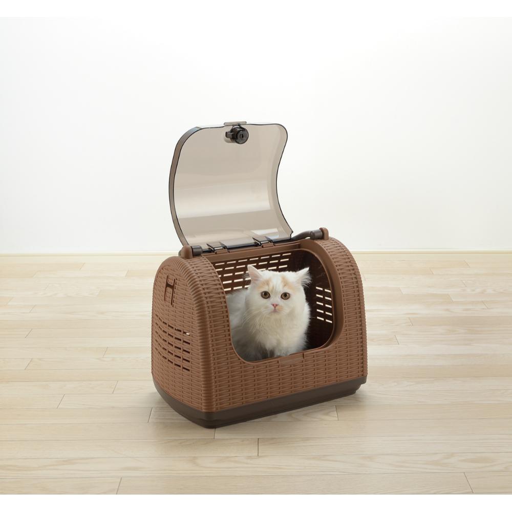 Rattan Carry Brown
