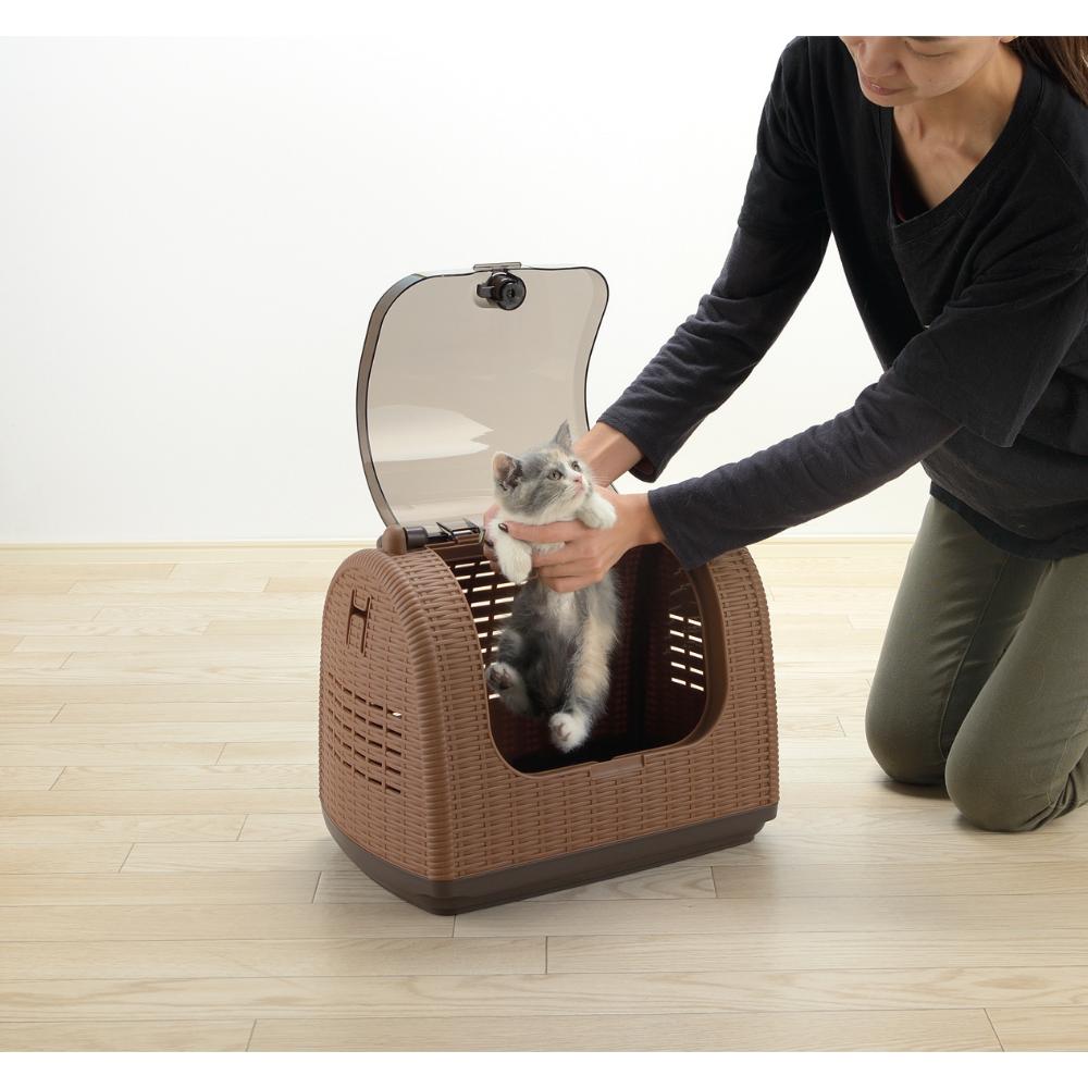 Rattan Carry Brown