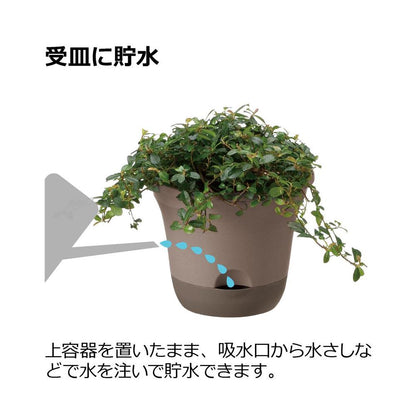 Richell Uruo Pot Dark Brown