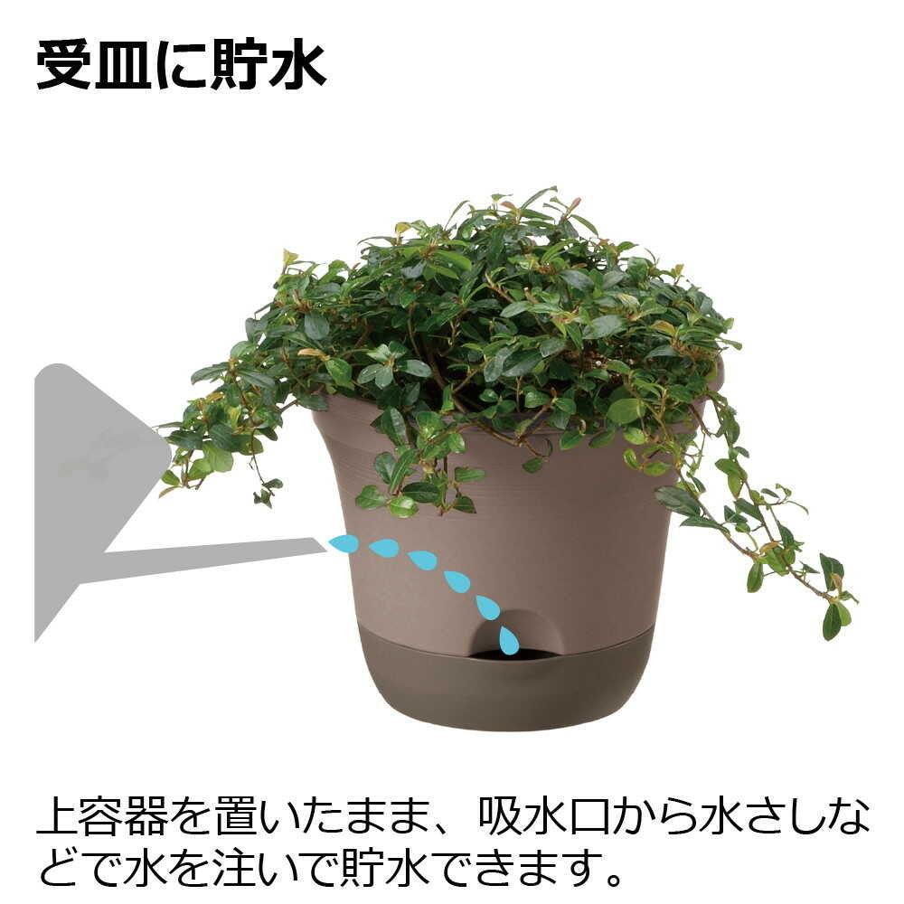 Richell Uruo Pot Dark Brown