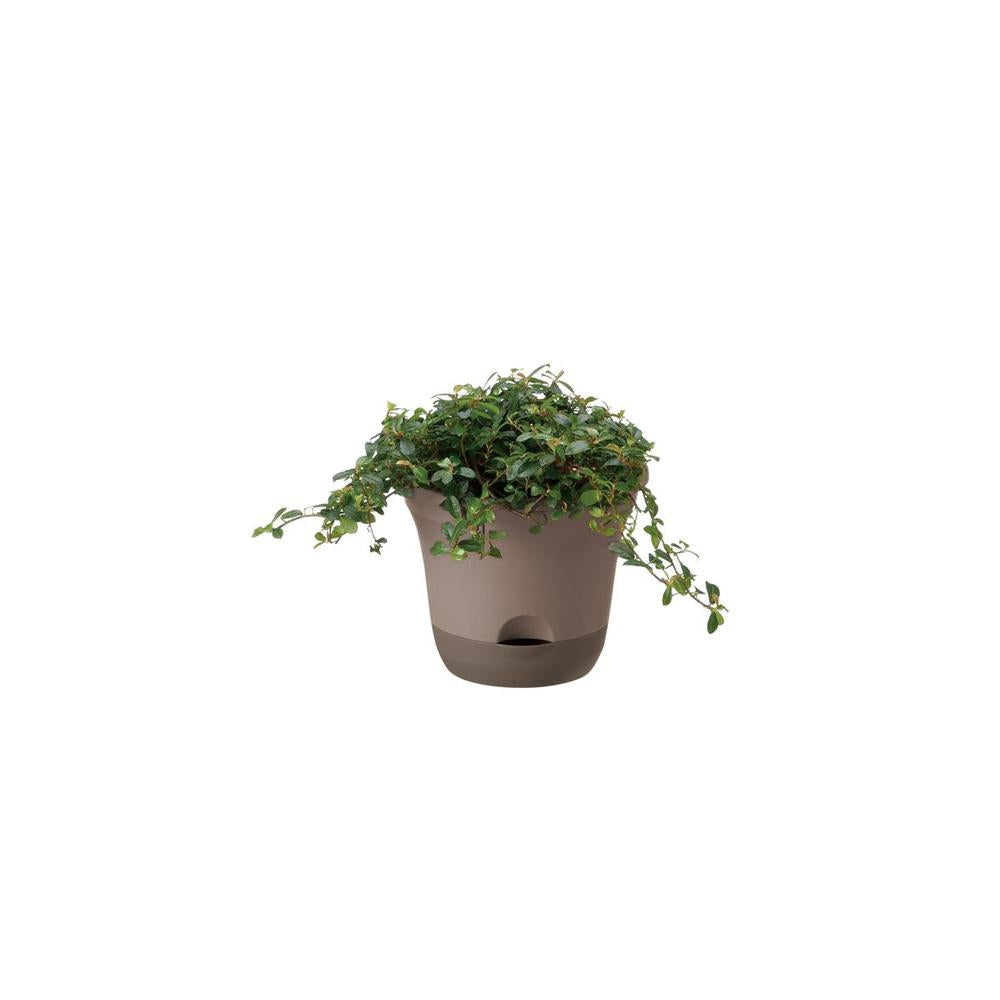 Richell Uruo Pot Dark Brown
