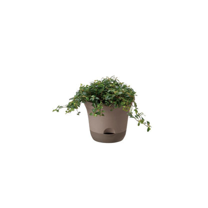 Richell Uruo Pot Dark Brown