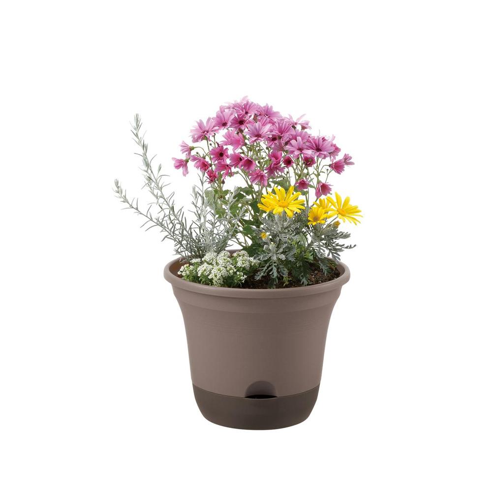 Richell Uruo Pot Dark Brown