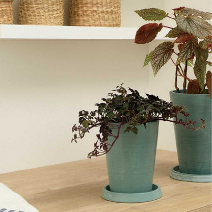 Richell Botany Tall Pot Type 12