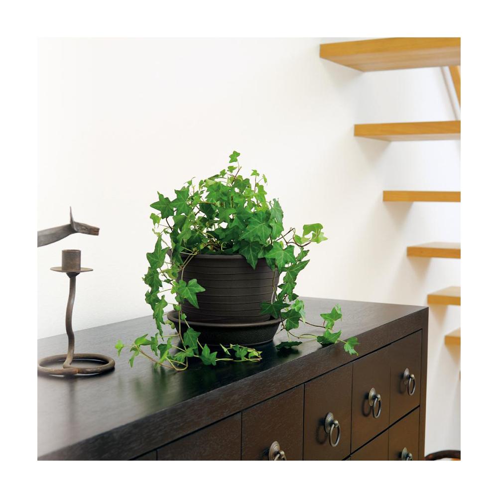 Richell Ecol Pot Dark Gray