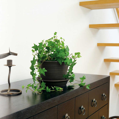 Richell Ecol Pot Dark Gray