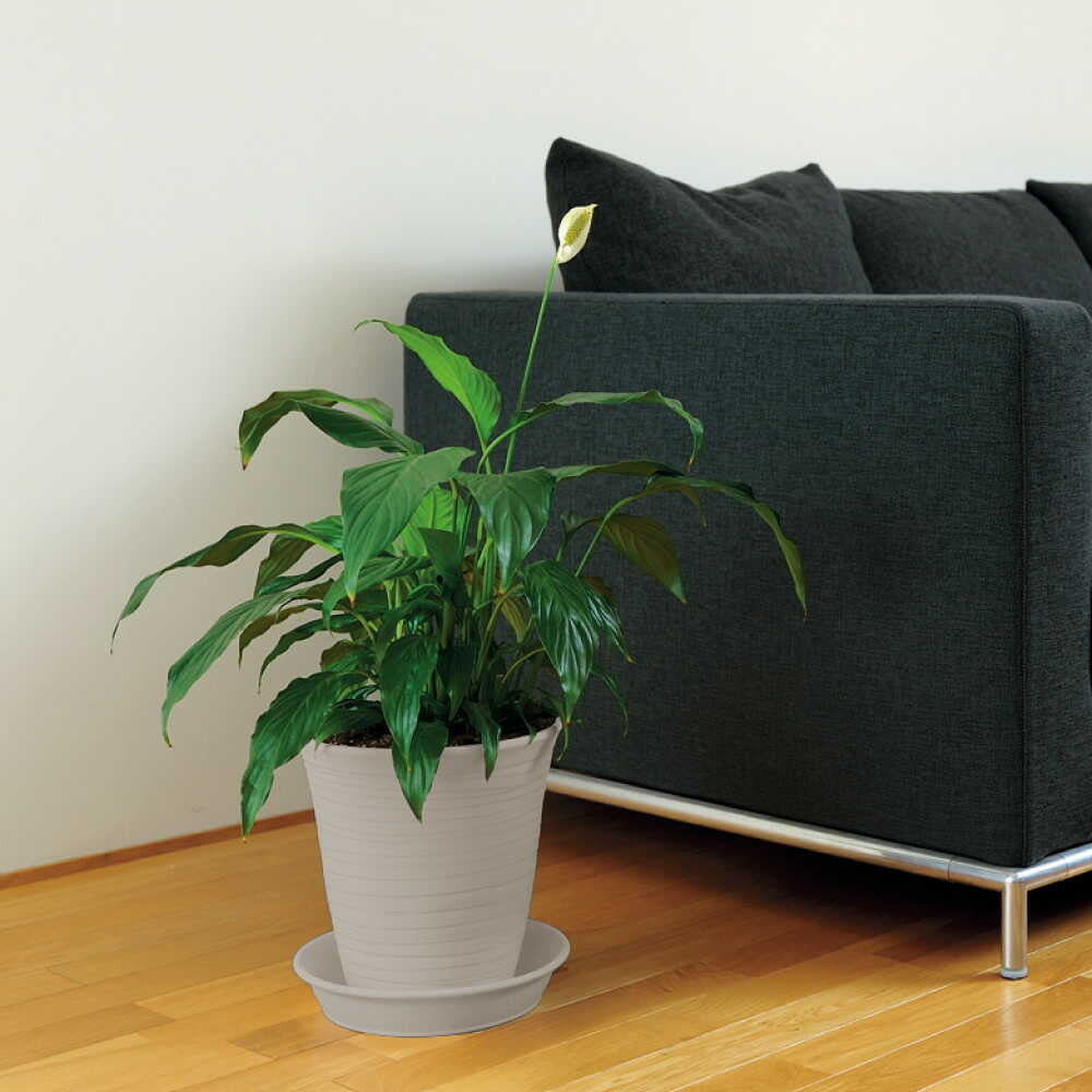 Richell Ecol Pot White