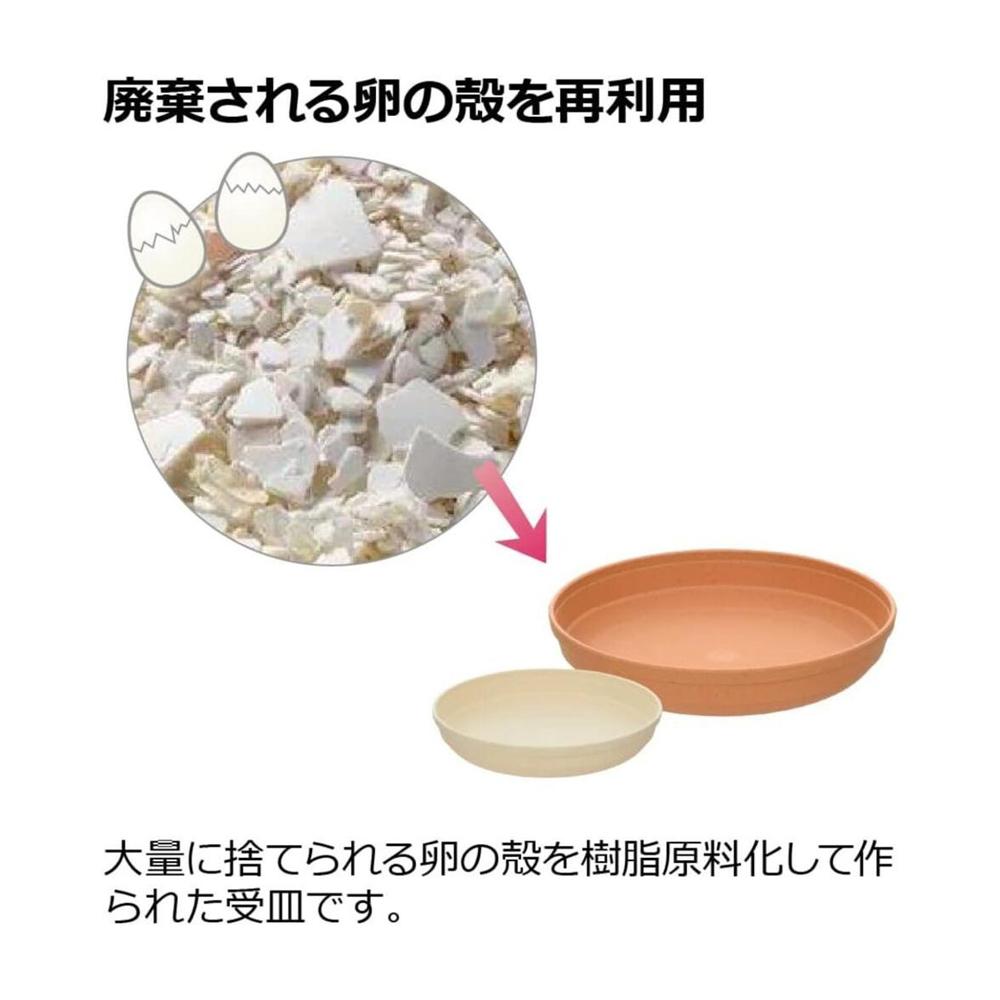 Richell Hiyokko Plate Beige