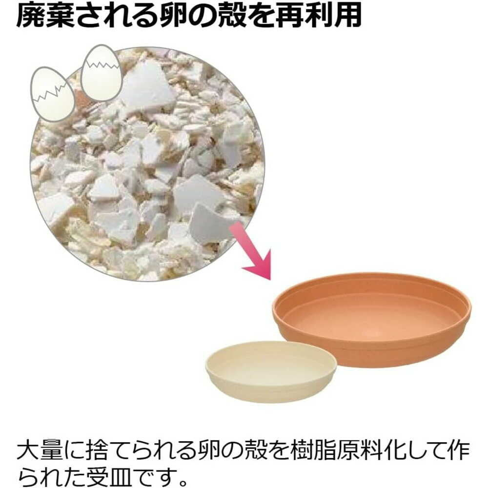 Richell Hiyokko Plate Beige