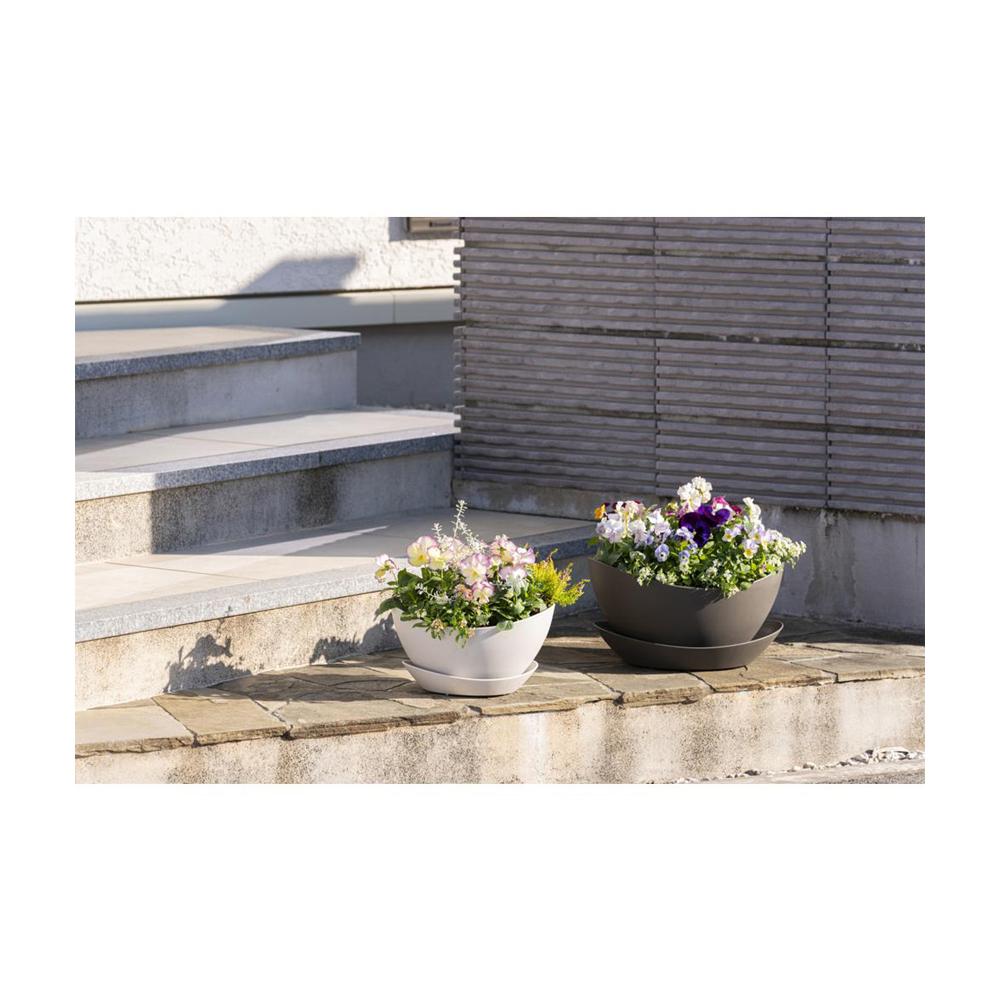 Richell Gatherin Bowl White