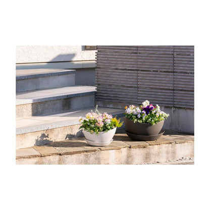 Richell Gatherin Bowl White