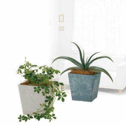 Richell Botany Square Pot Type 10