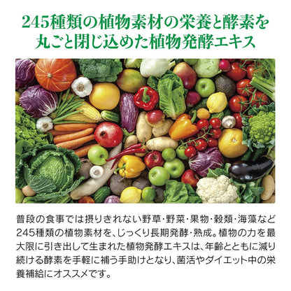 Minami Healthy Foods Enzyme + Plant-Based Lactic Acid Bacteria 62 Capsules