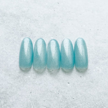 RAFUL Magnet Nail RF-M04