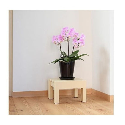 Kohara Plastic Multi-Purpose Stand Square Beige