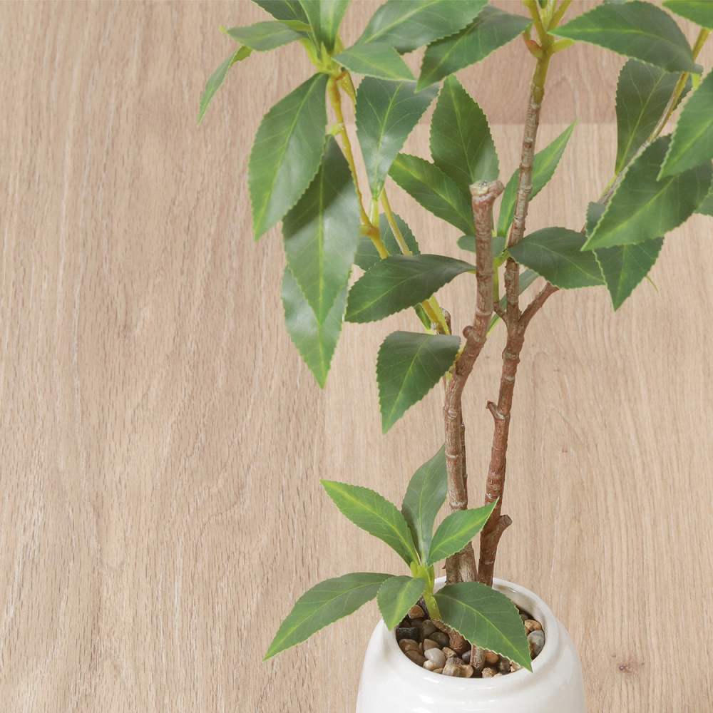 Fake Green Osmanthus Ceramic Pot 41133