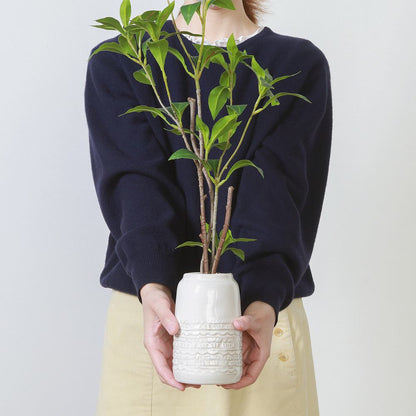Fake Green Osmanthus Ceramic Pot 41133