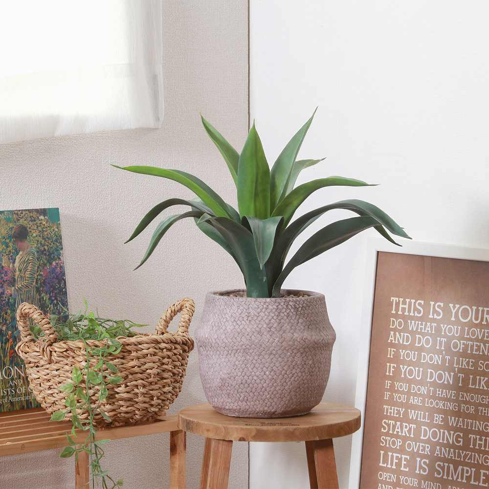 Fake Green Agave Cement Pot 41135