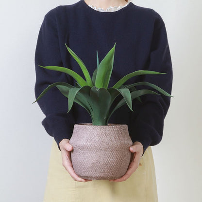 Fake Green Agave Cement Pot 41135