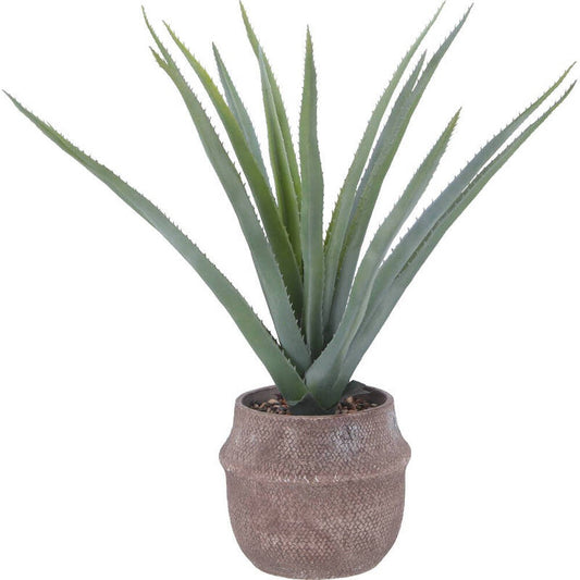 Fake Green Aloe M Cement Pot 41136