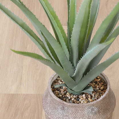 Fake Green Aloe M Cement Pot 41136