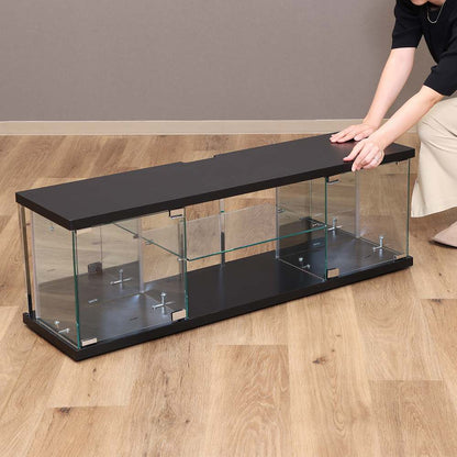 Glass Collection TV Board - BAAL - Black