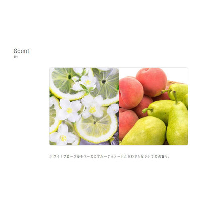 Milbon Nizel Clutch Fizz Foam 200g