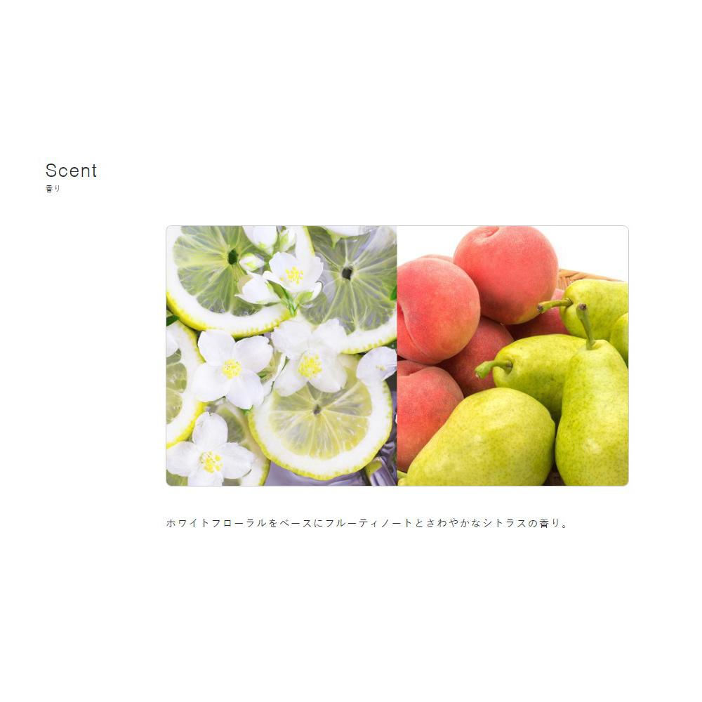 Milbon Nizel High Clutch Fizz Foam 200g