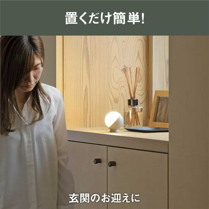 Musashi Palm-Sized Round Light Pale Gray WSL-001PG