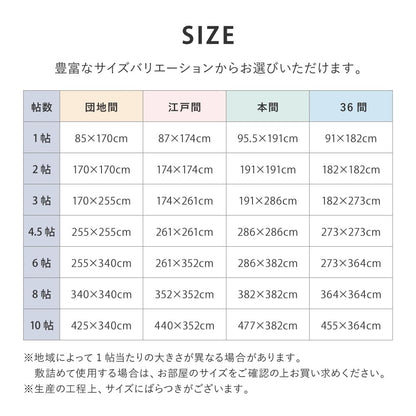Igusa Carpet Yanagawa Hon Room 10 Tatami